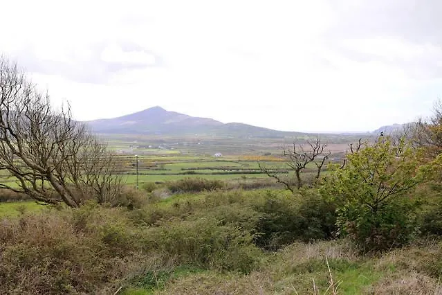 Griffins * Dingle